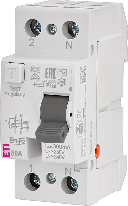 Image of EFI-P2 AC 80/0.3