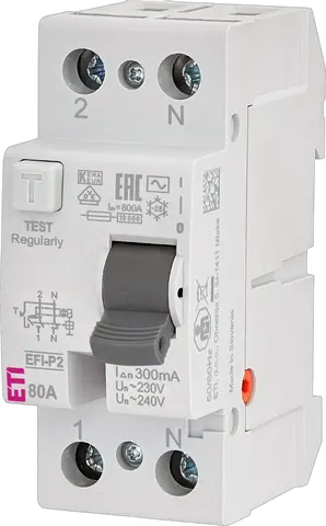 EFI-P2 AC 80/0.3