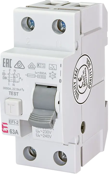 Image of *EFI-2 A 63/0.03