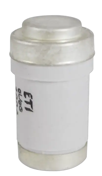 Image of D03 gG 100A/400V
