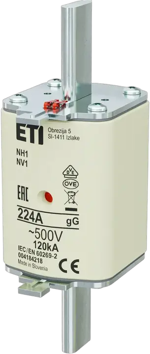 Image of NH1 gG 224A/500V