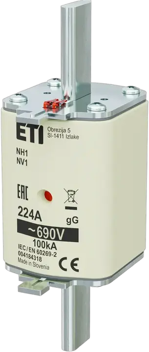 Image of NH1 gG 224A/690V