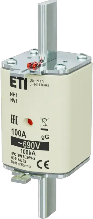 Image of NH1 gG 100A/690V