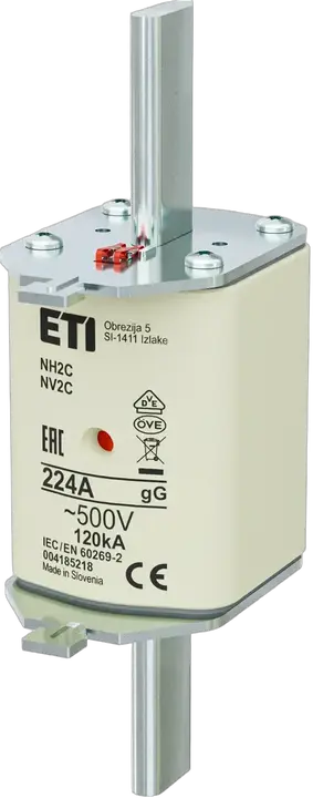 Image of NH2C gG 224A/500V