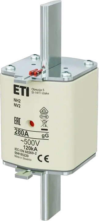 Image of NH2 gG 280A/500V