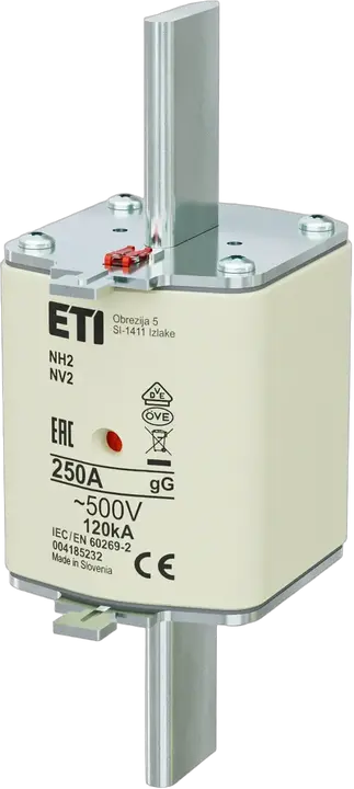 Image of NH2 gG 250A/500V