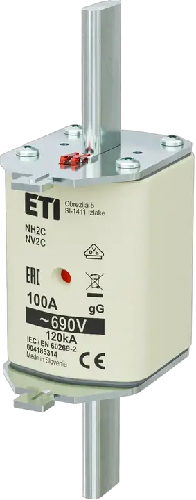 Image of NH2C gG 100A/690V