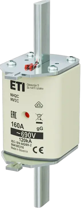 Image of NH2C gG 160A/690V