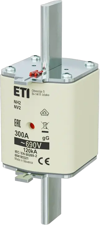 Image of NH2 gG 300A/690V
