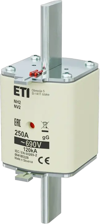 Image of NH2 gG 250A/690V