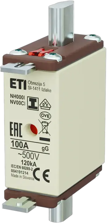 Image of NH000/I gG 100A/500V