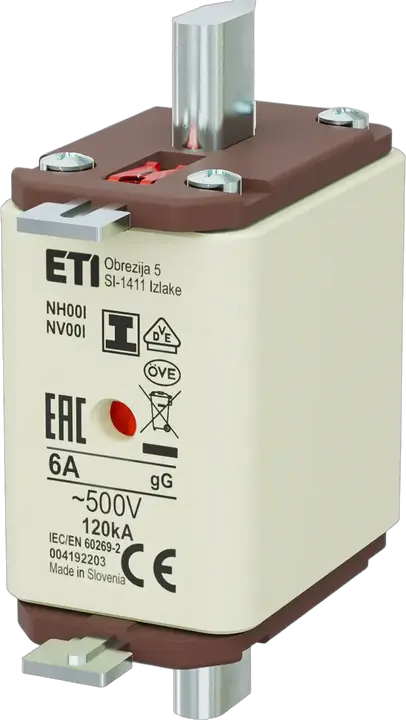 Image of NH00/I gG 6A/500V