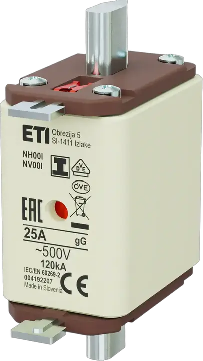 Image of NH00/I gG 25A/500V