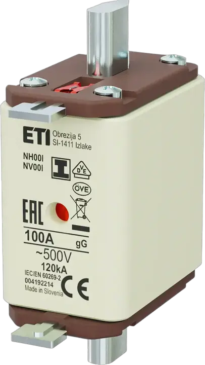 Image of NH00/I gG 100A/500V