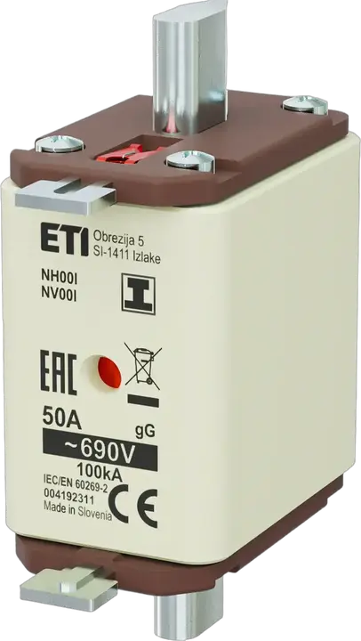 Image of NH00/I gG 50A/690V