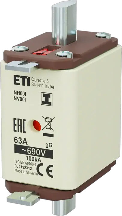 Image of NH00/I gG 63A/690V