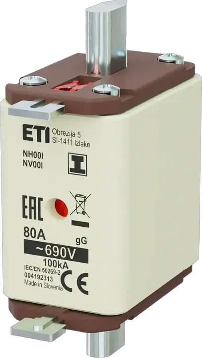 Image of NH00/I gG 80A/690V