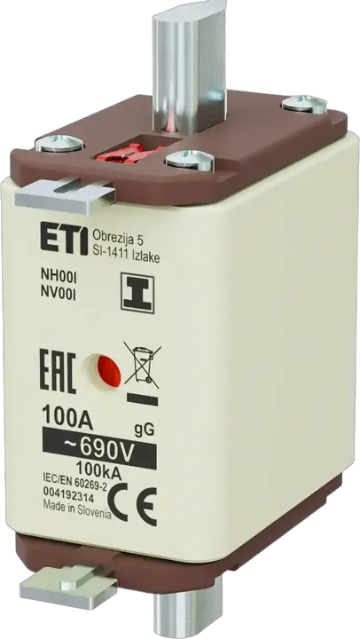 Image of NH00/I gG 100A/690V