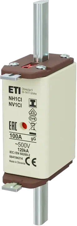 Image of NH1C/I gG 100A/500V