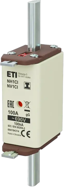 Image of NH1C/I gG 100A/690V
