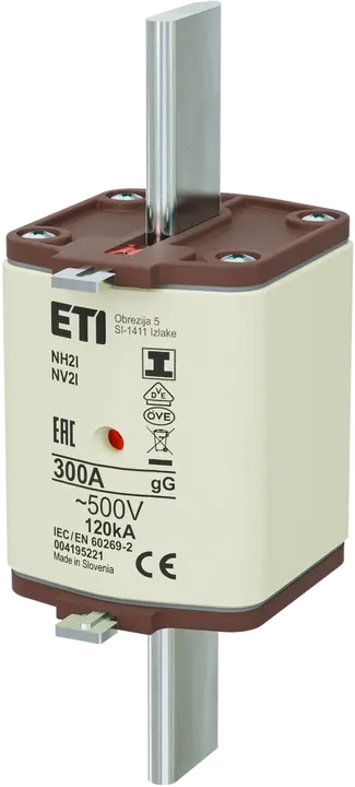Image of NH2/I gG 300A/500V