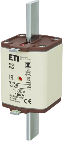 NH2/I gG 300A/500V