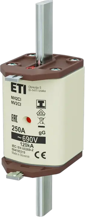 Image of NH2C/I gG 250A/690V