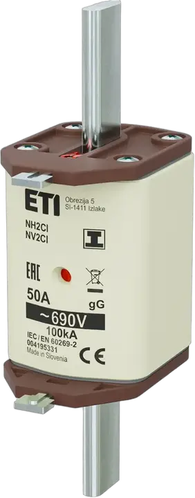 Image of NH2C/I gG 50A/690V