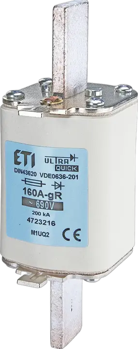 Image of NH1 UQ2 gR 100A/690V