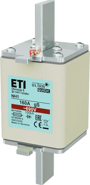 Image of *NH1 gS 160A/690V