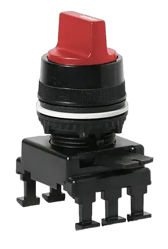 Image of *HK65C1