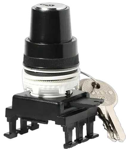 Image of *HM85C3