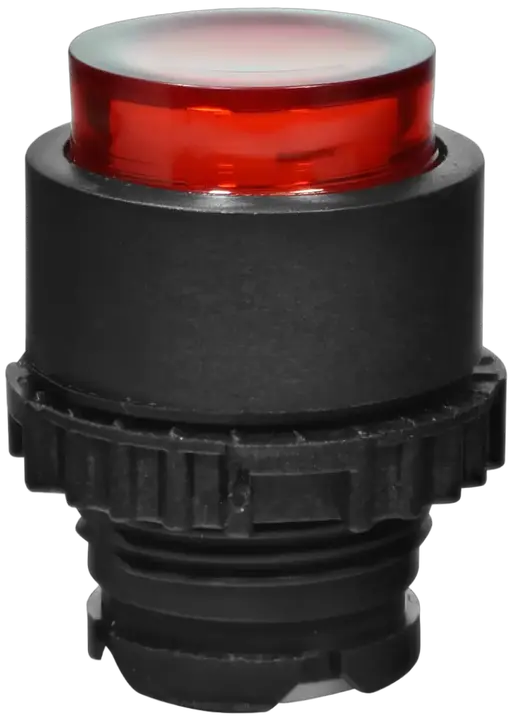 Image of NSE-PBPI-R