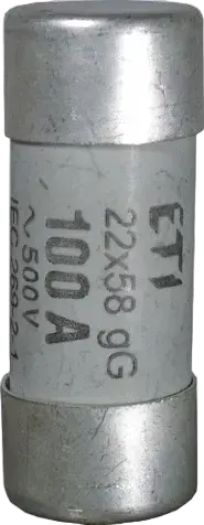 CH22x58/P gG 4A/690V